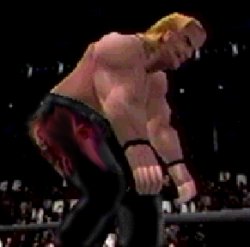 Red Leaf climbs the ropes.